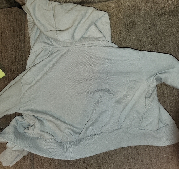 Divided Light Gray Cropped Hoodie - Picture 3 of 4